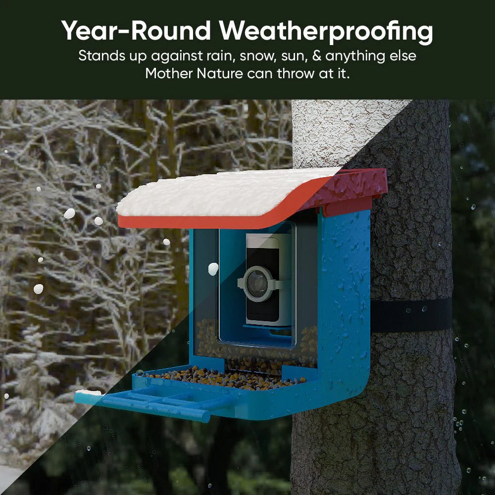 Wyze Bird Feeder - View 3