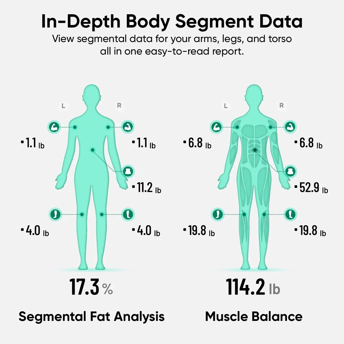 Wyze Scale Ultra BodyScan - View 6