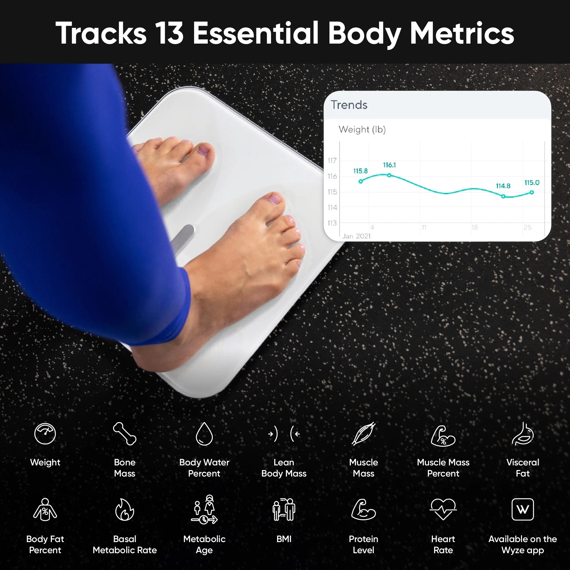 Wyze Scale X - View 4