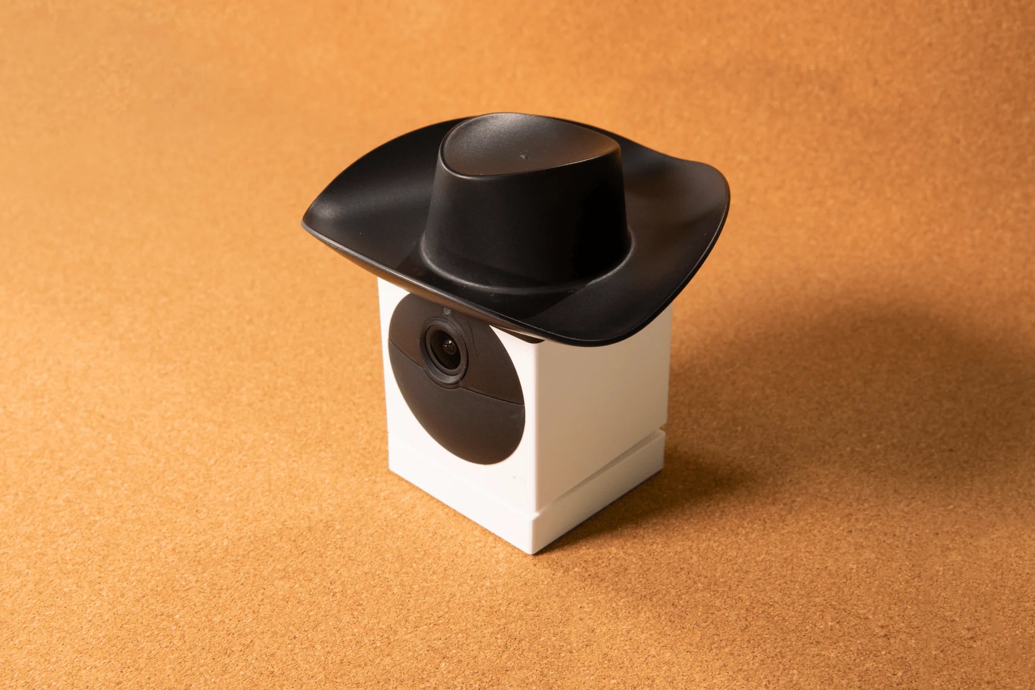 Wyze Cam Outdoor Cowboy Hat - View 2