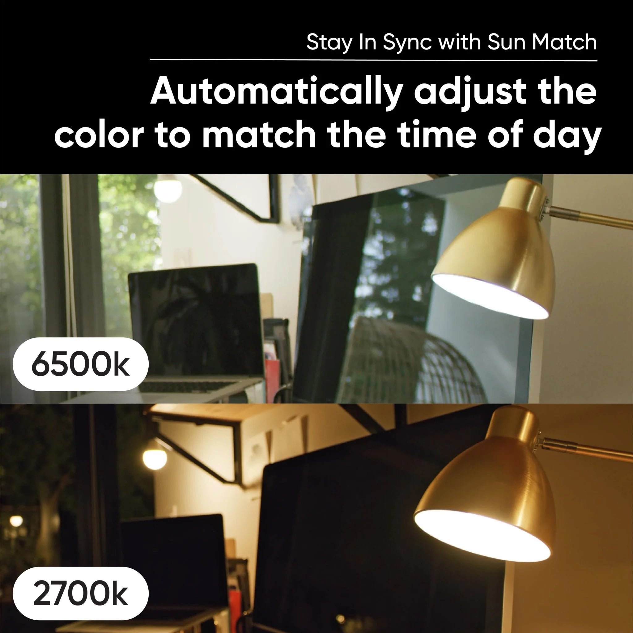 Wyze Bulb White - View 4